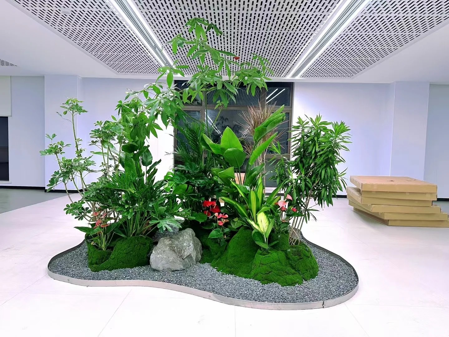 余姚植物出租哪家强？服务好的这家别错过！